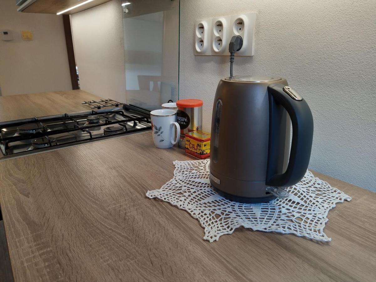 Apartman Banska Bystrica Fortnicka Экстерьер фото